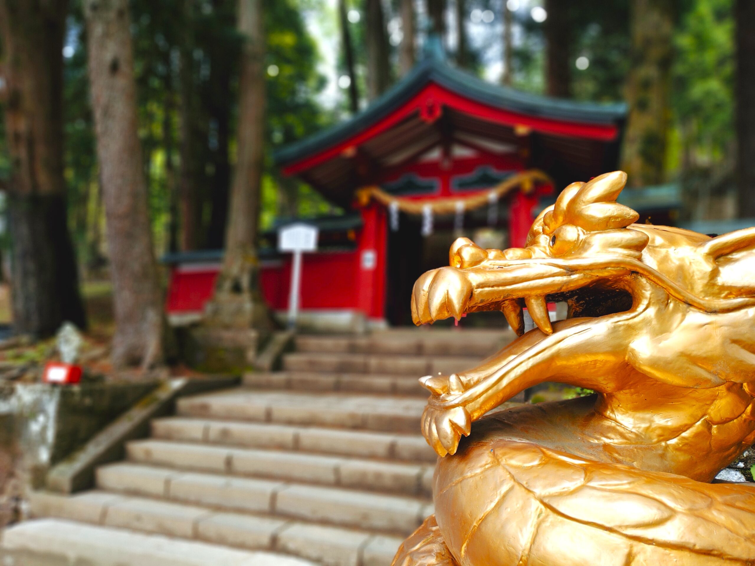 日光二荒山神社 中宮祠【栃木県】 20260525 112432182 scaled - 日光二荒山神社 中宮祠【栃木県】