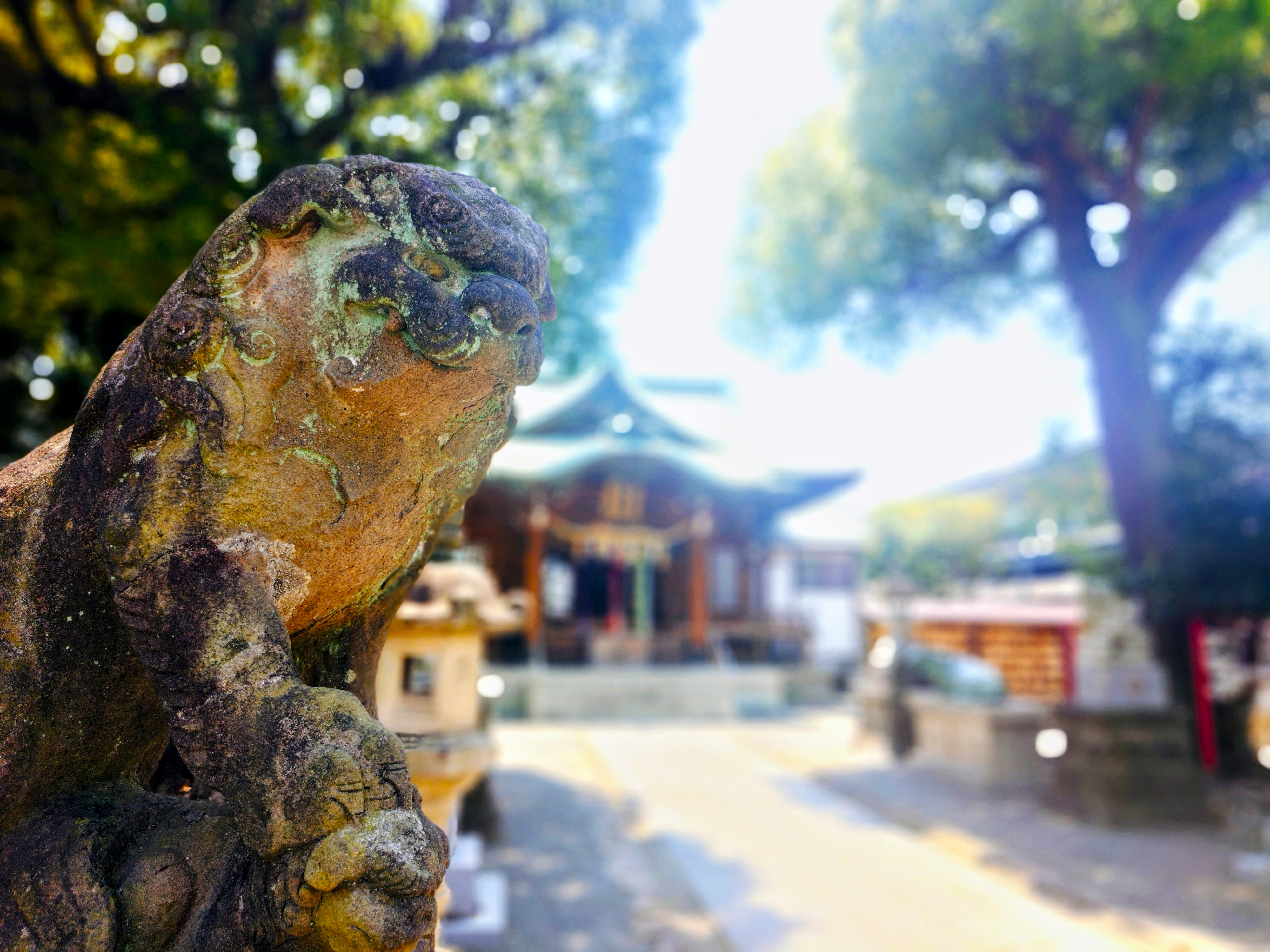 20260720 1109277602 - 町田天満宮【東京都】