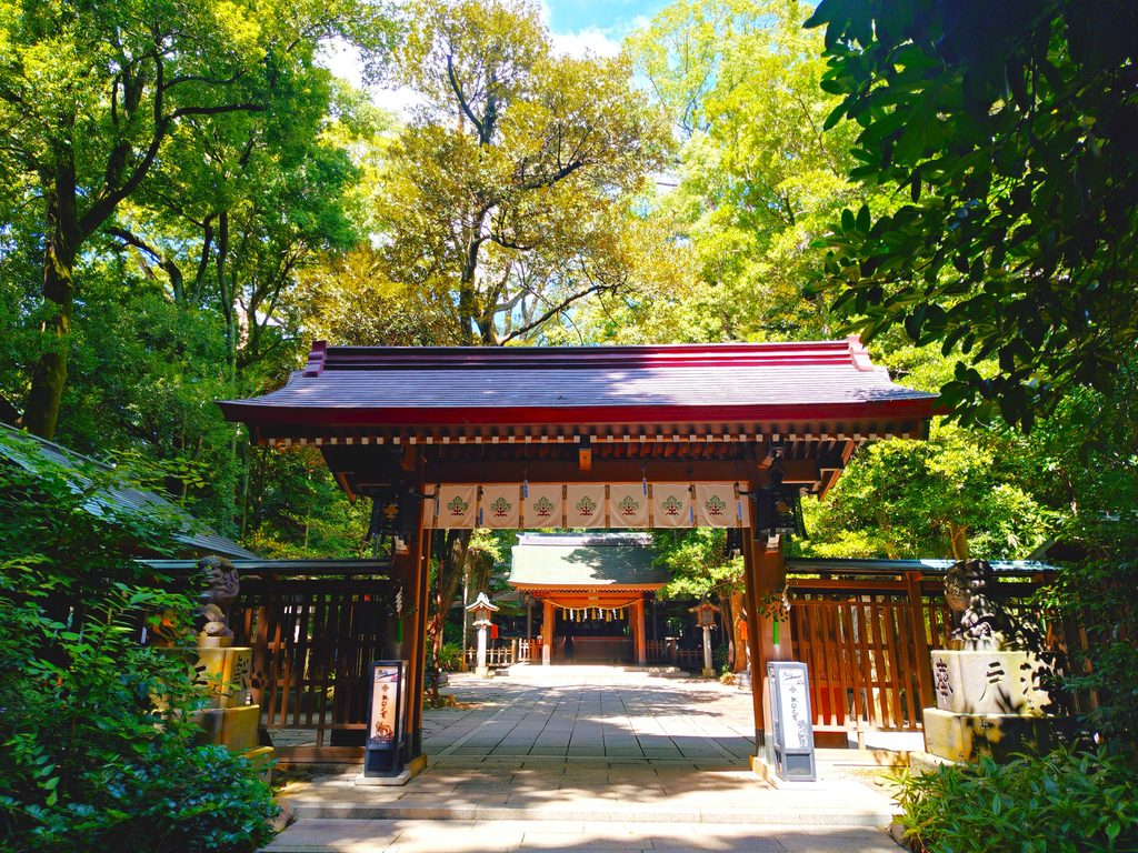 20260808 094247721 2 1024x768 - 駒木 諏訪神社【千葉県】