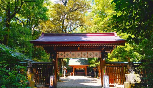 20260808 094247721 2 520x300 - 布施弁天 東海寺【千葉県】