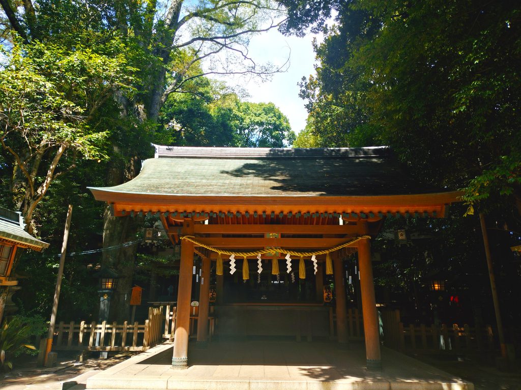 20260808 094550749 2 1024x768 - 駒木 諏訪神社【千葉県】