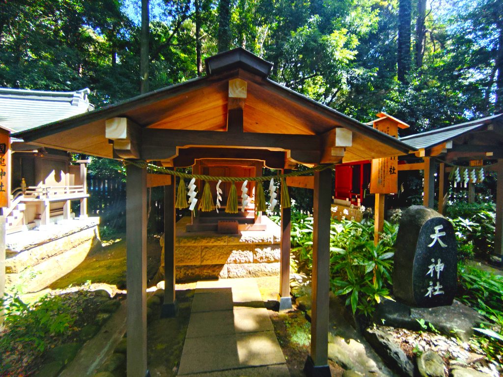 20260808 095243129 1024x768 - 駒木 諏訪神社【千葉県】