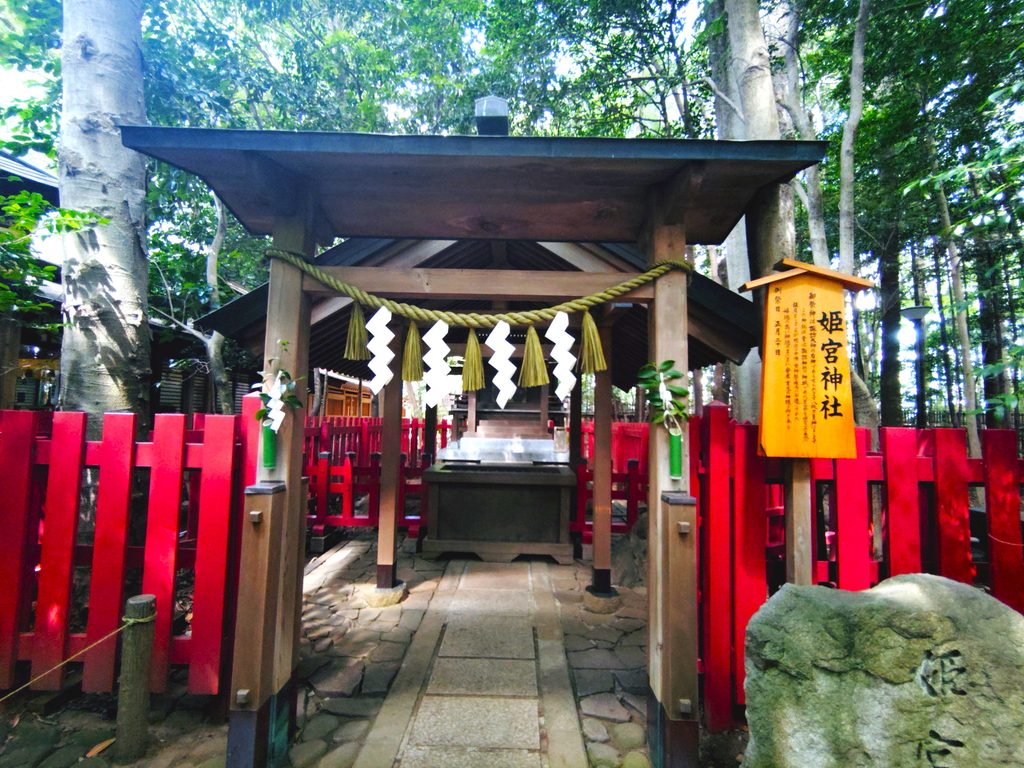 20260808 095453680 2 1024x768 - 駒木 諏訪神社【千葉県】