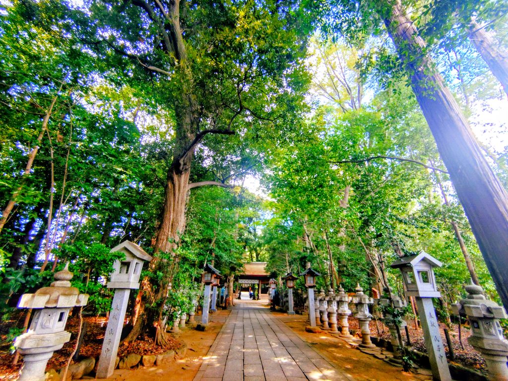 20260808 1003073813 1024x768 - 駒木 諏訪神社【千葉県】