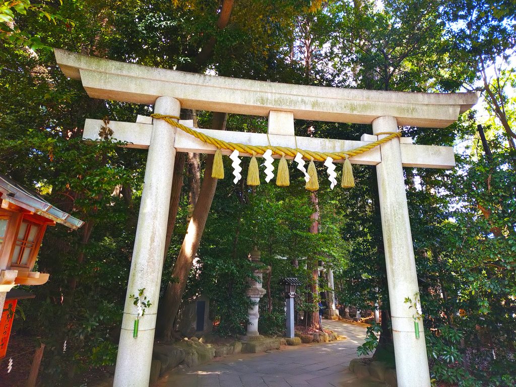 20260808 100413448 2 1024x768 - 駒木 諏訪神社【千葉県】