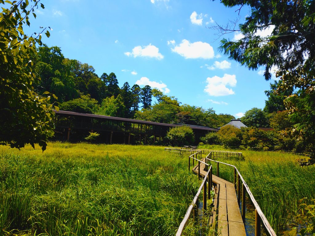 20260808 103536688 1024x768 - 長谷山 本土寺【千葉県】