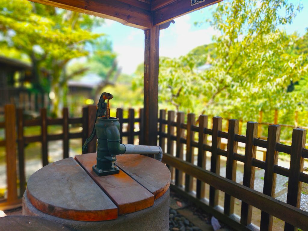 20260808 103635994 1024x768 - 長谷山 本土寺【千葉県】