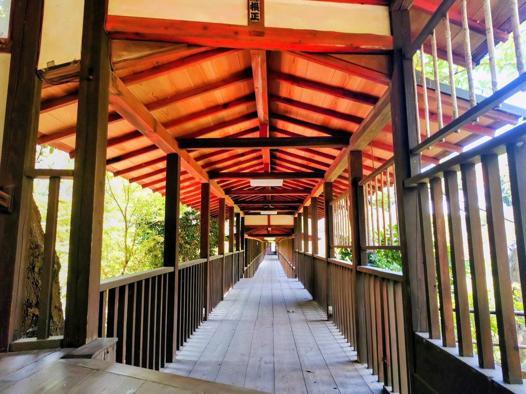 20260808 1036563552 1024x768 - 長谷山 本土寺【千葉県】