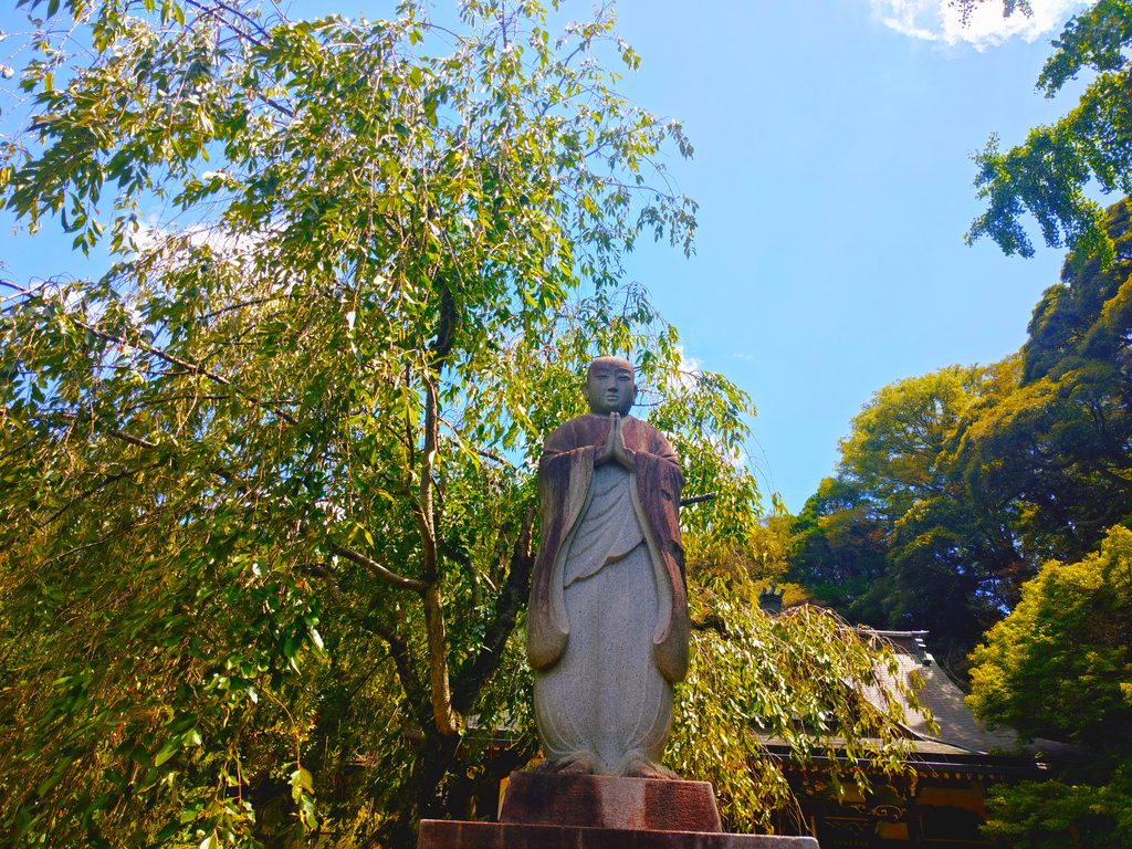 20260808 104039197 1024x768 - 長谷山 本土寺【千葉県】