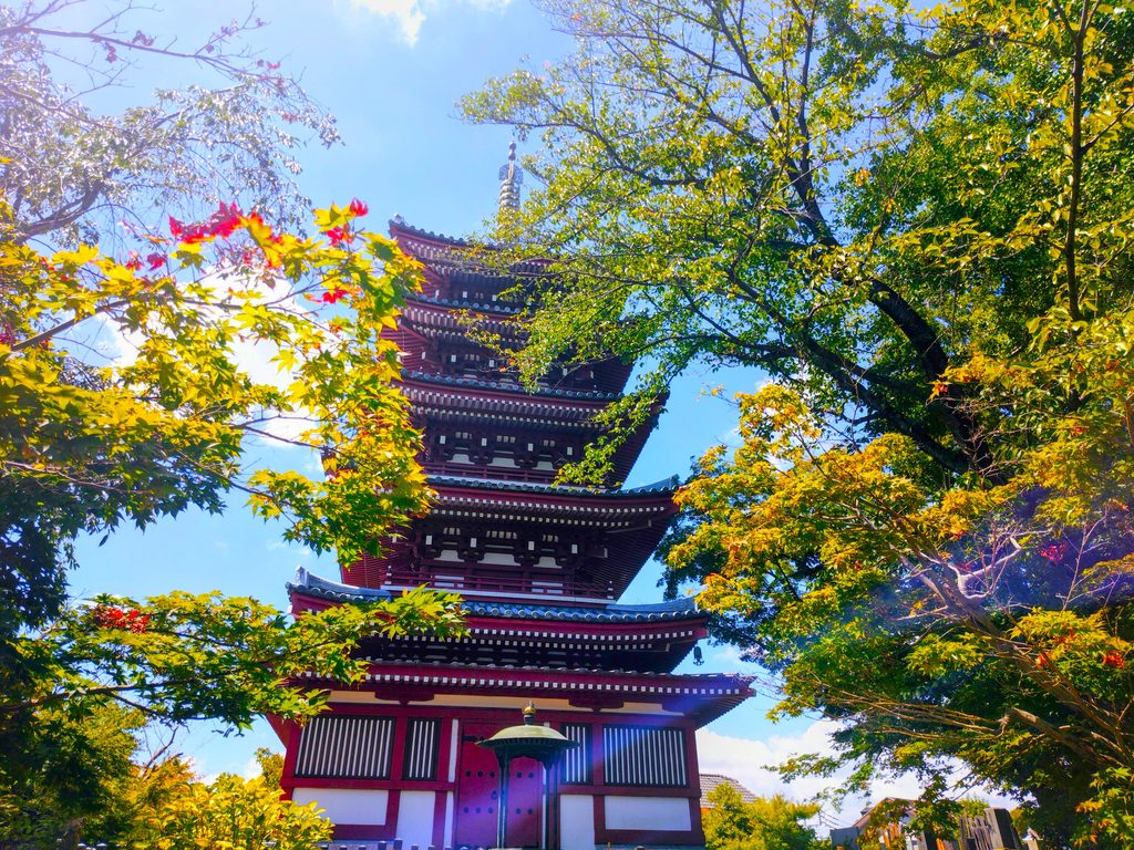 20260808 1051005753 1024x768 - 長谷山 本土寺【千葉県】