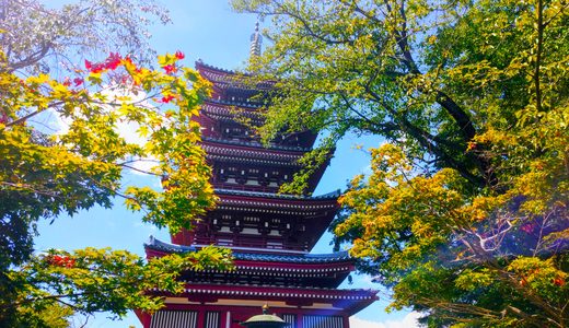 20260808 1051005753 520x300 - 布施弁天 東海寺【千葉県】