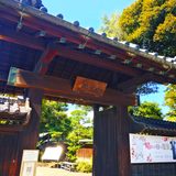 野田市郷土博物館・旧茂木佐平治邸宅と金寳殿本社【千葉県】