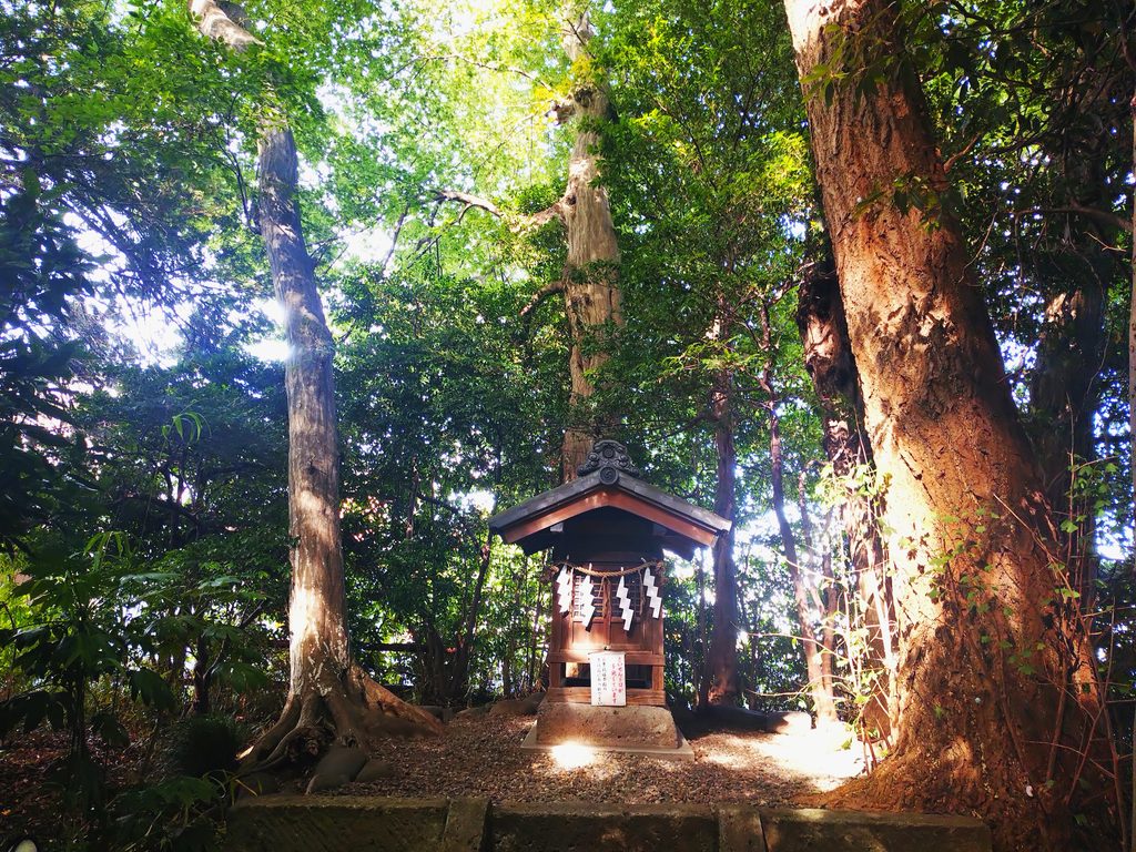 20260808 151622825 1024x768 - 櫻木神社【千葉県】
