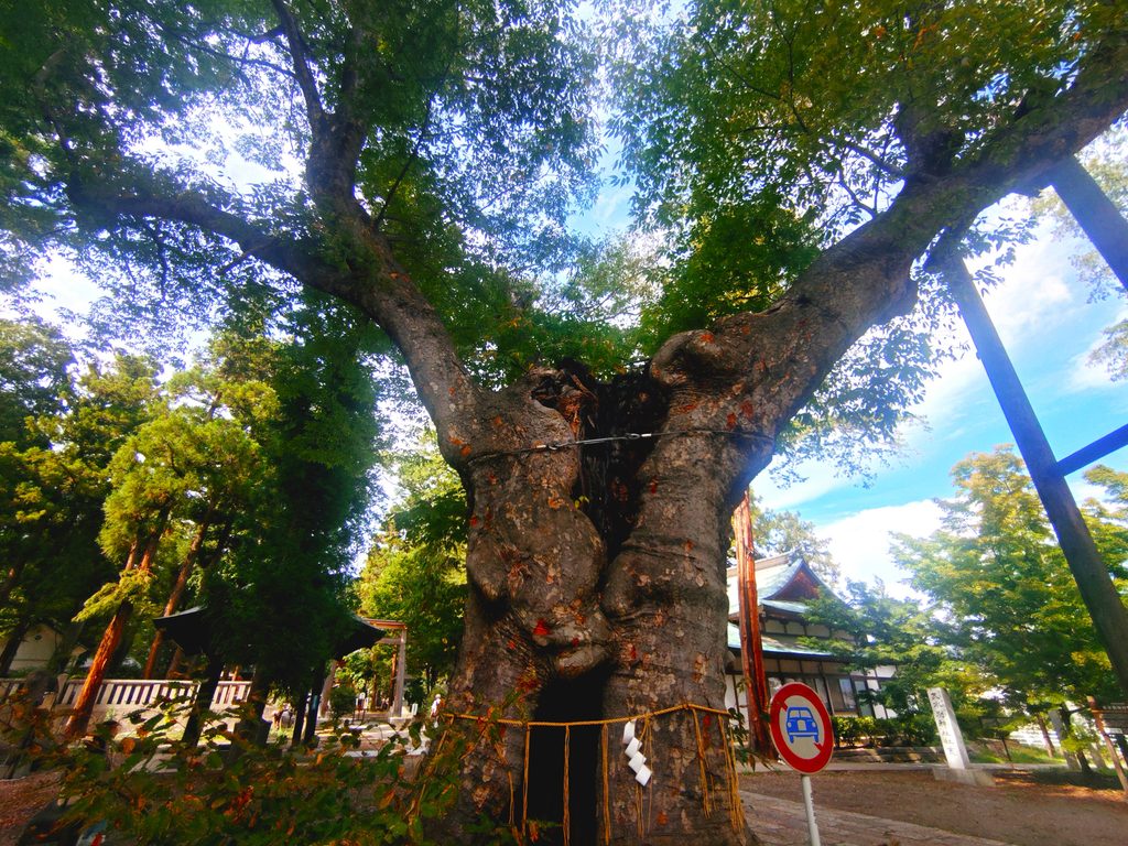 20260816 151432880 1024x768 - 武水別神社【長野県】