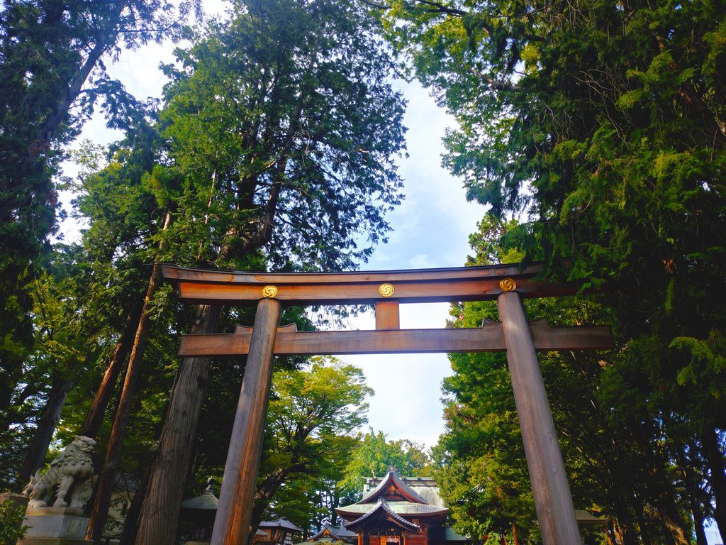 20260816 151602915 1024x768 - 武水別神社【長野県】
