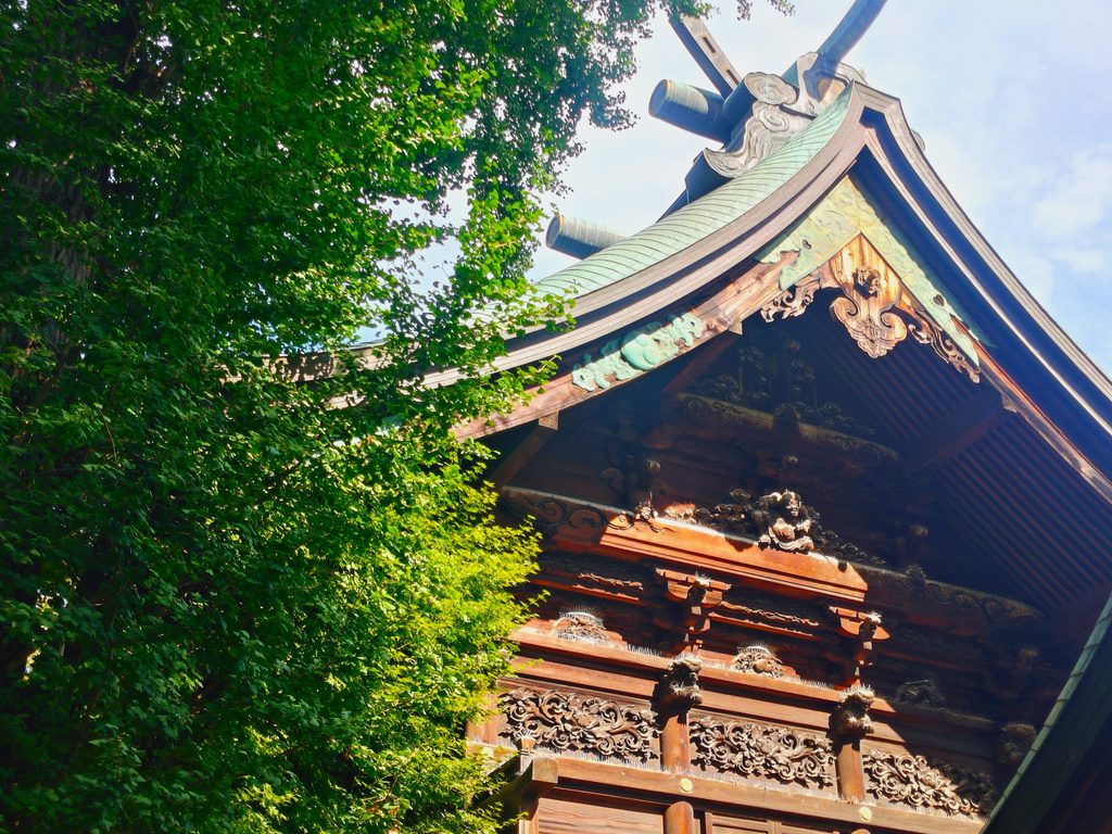 20260816 152302542 1024x768 - 武水別神社【長野県】