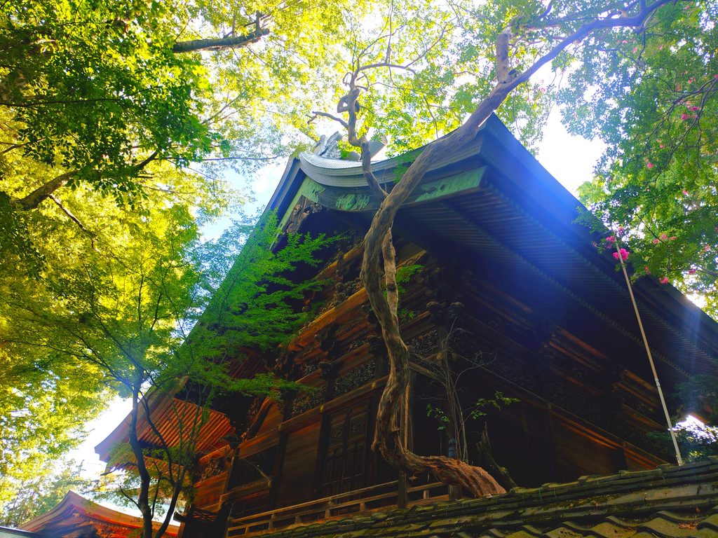 20260816 153504205 1024x768 - 武水別神社【長野県】