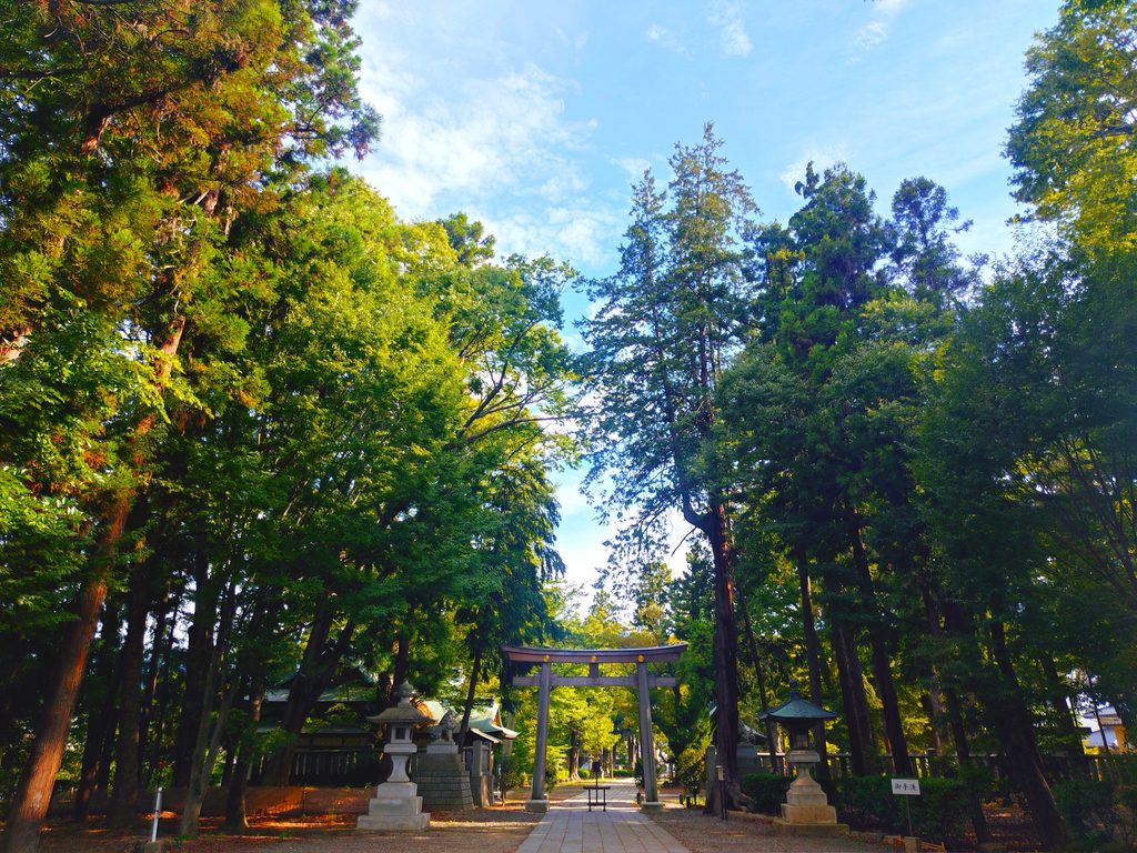 20260816 153830849 1024x768 - 武水別神社【長野県】