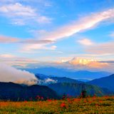美ヶ原高原・王ヶ頭【長野県】