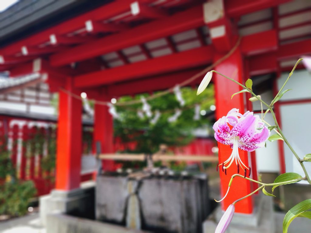 生島足島神社【長野県】 20260817 1333103202 1024x768 - 生島足島神社【長野県】