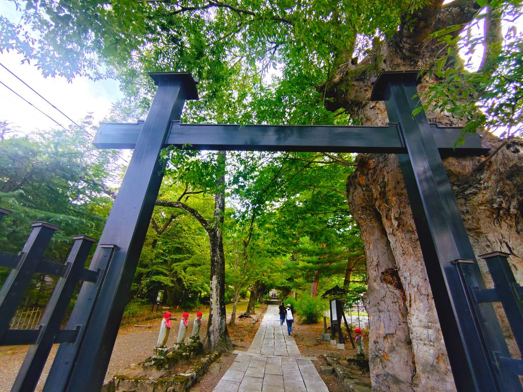 独鈷山 前山寺【長野県】 20260817 141235720 1024x768 - 独鈷山 前山寺【長野県】
