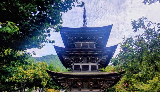20260817 1417366502 520x300 - トップページ用の固定ページ-日本語