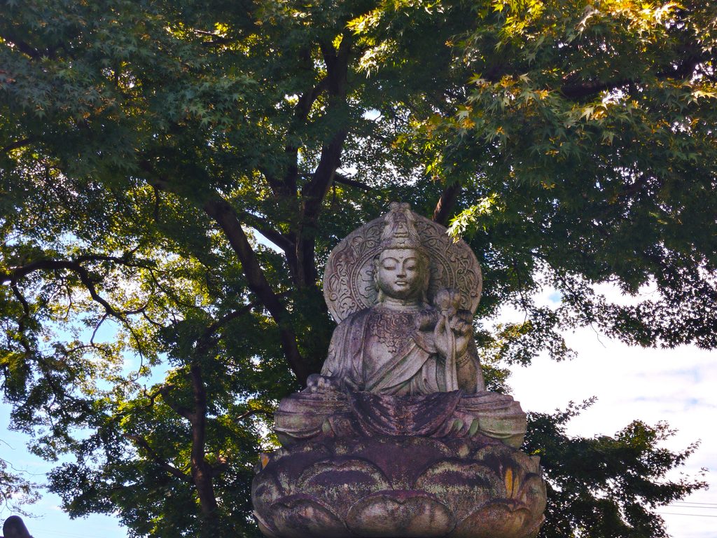 20260922 111348102 1024x768 - 金剛山 正福寺【東京都】