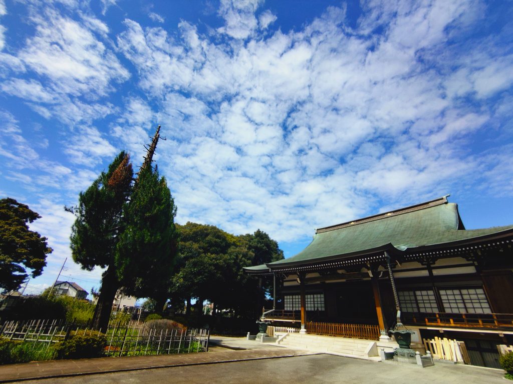 20260922 111447708 2 1024x768 - 金剛山 正福寺【東京都】