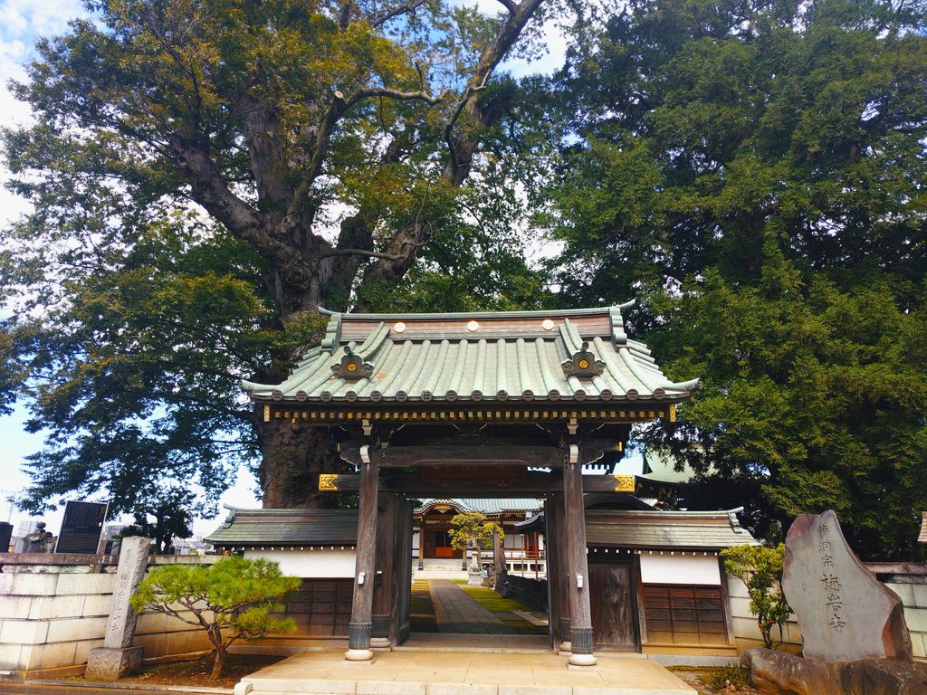 20260922 122152642 1024x768 - 梅岩寺 (東村山市)【東京都】