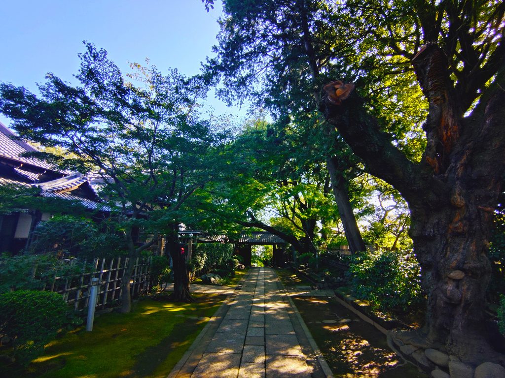 東京都北区 静勝寺の緑に囲まれた美しい参道 東京都北区 静勝寺の緑に囲まれた美しい参道