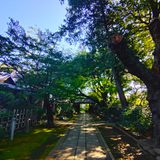 東京都北区 静勝寺の緑に囲まれた美しい参道