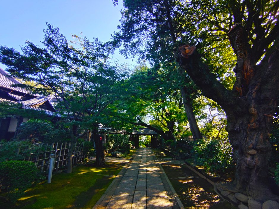 東京都北区 静勝寺の緑に囲まれた美しい参道