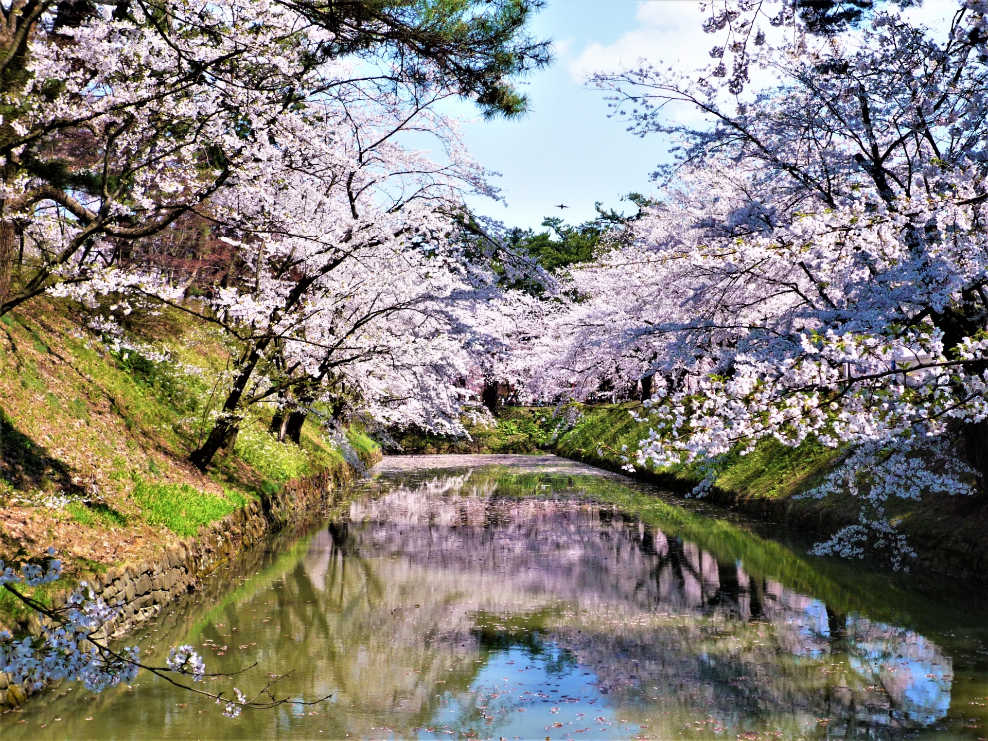 Hirosaki Castle and Hirosaki Park [Aomori] | Kanata's Japan Shrine Guide
