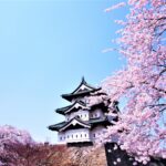 23245878 m 150x150 - Hirosaki Hachimangu Shrine [Aomori]