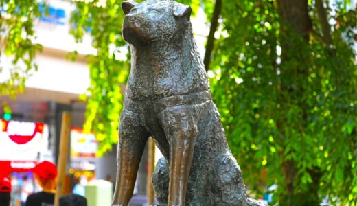 Shibuya (Hachiko, Scramble Crossing) [Tokyo]