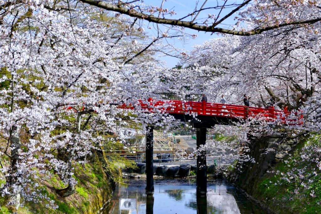 2661481 m 1024x683 - Hirosaki Castle and Hirosaki Park [Aomori]