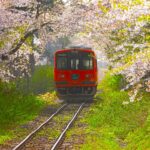 28678182 m 150x150 - Hirosaki Hachimangu Shrine [Aomori]