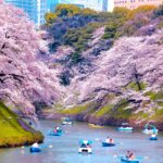 常陸風土記の丘【茨城県】 3243323 m 150x150 - 常陸風土記の丘【茨城県】