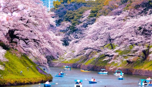 千鳥ヶ淵緑道【東京都】