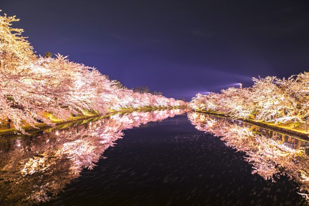 3895688 m 1024x683 - 弘前城・弘前公園【青森県】