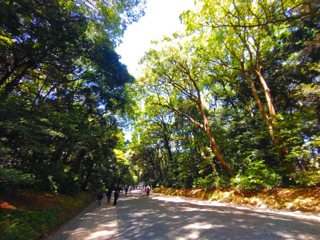 DSC 0043 1024x768 - Meiji Jingu Shrine [Tokyo]