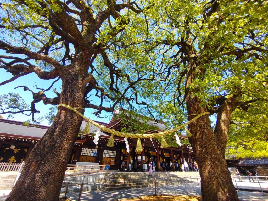 DSC 0051 1024x768 - Meiji Jingu Shrine [Tokyo]