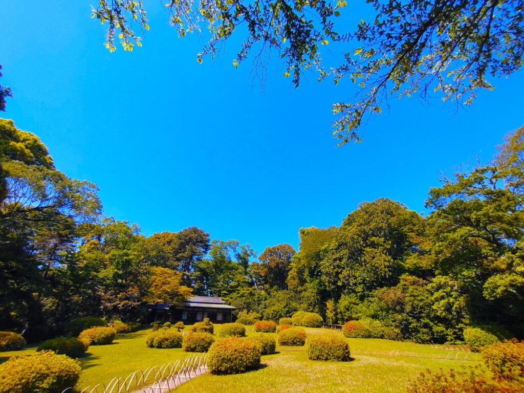 DSC 0062 1024x768 - Meiji Jingu Shrine [Tokyo]