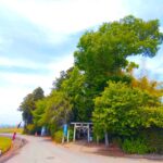 DSC 0089 150x150 - Tsuna Shrine [Tochigi]