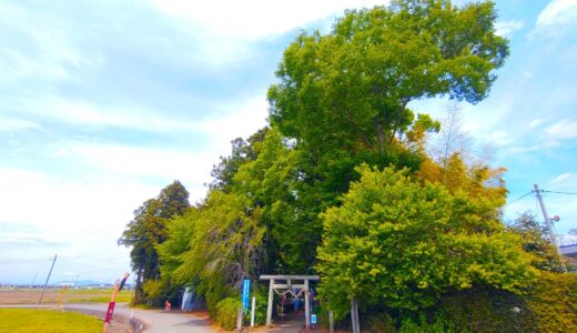 下野星宮神社【栃木県】