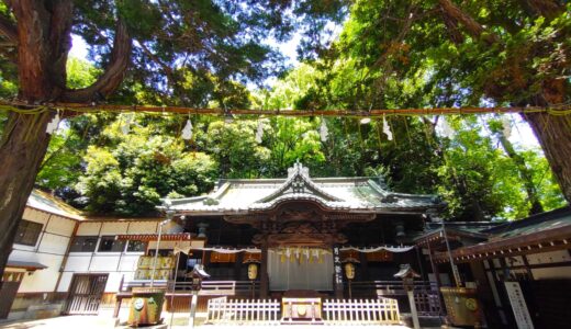 Tsuki Shrine [Saitama]