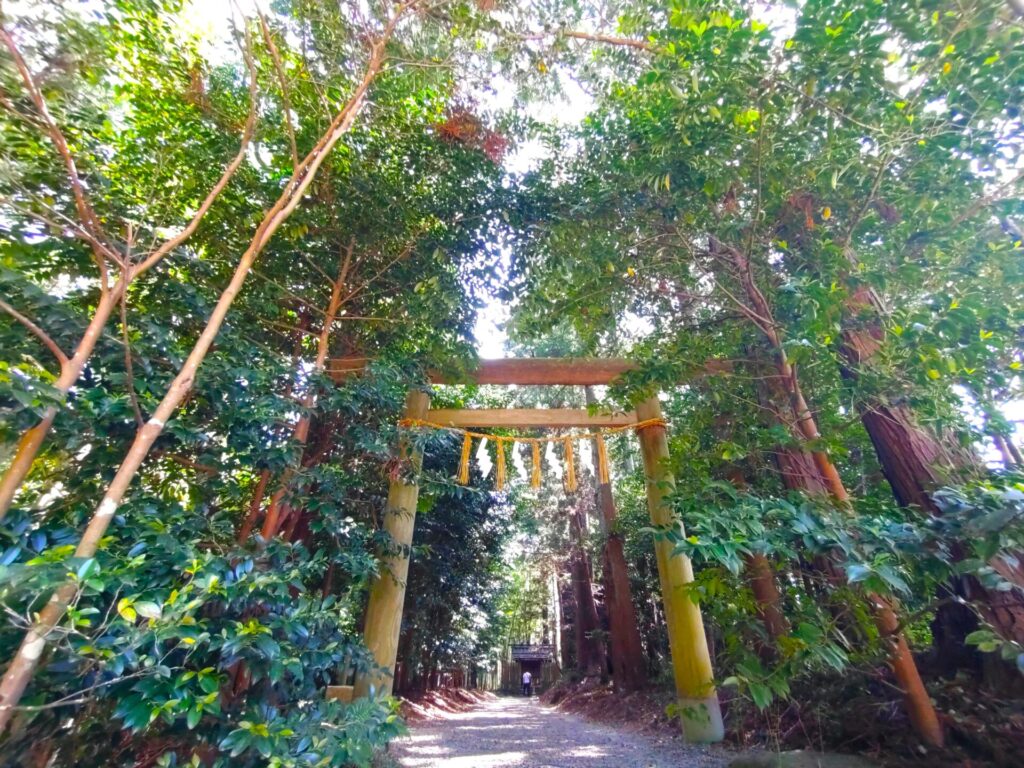 DSC 0163 1 1024x768 - Katori Jingu Shrine [Chiba]