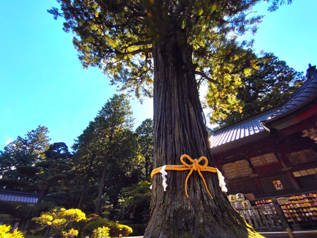 DSC 0167 1024x768 - Kitaguchi Hongu Fuji Sengen Shrine [Yamanashi]