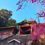 DSC 0220 150x150 - Akhasan Shrine Kamiisha [Shizuoka]