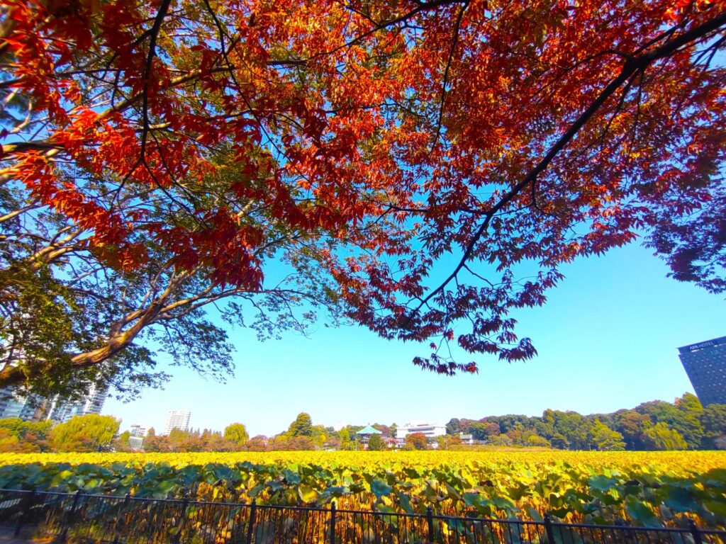 現在の画像に代替テキストがありません。ファイル名: DSC_0231.jpg